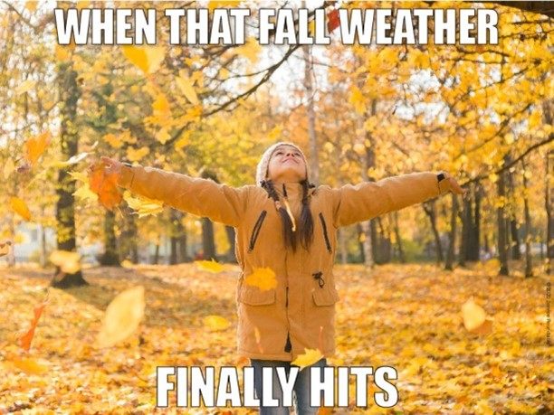 Fall Weather Meme